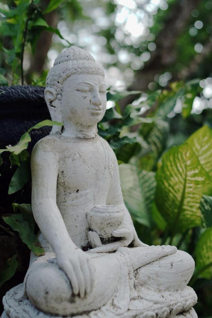 Sattva Yoga Retreat Villas Чангу Экстерьер фото